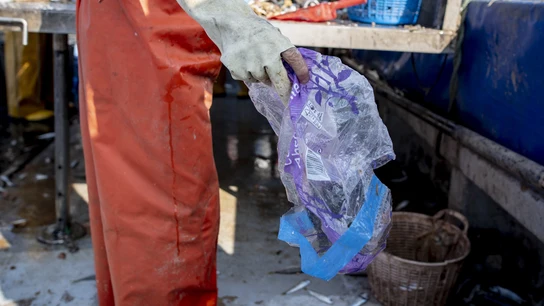 Uno de los pescadores echa a un cubo un embalaje plástico de papel higiénico basura