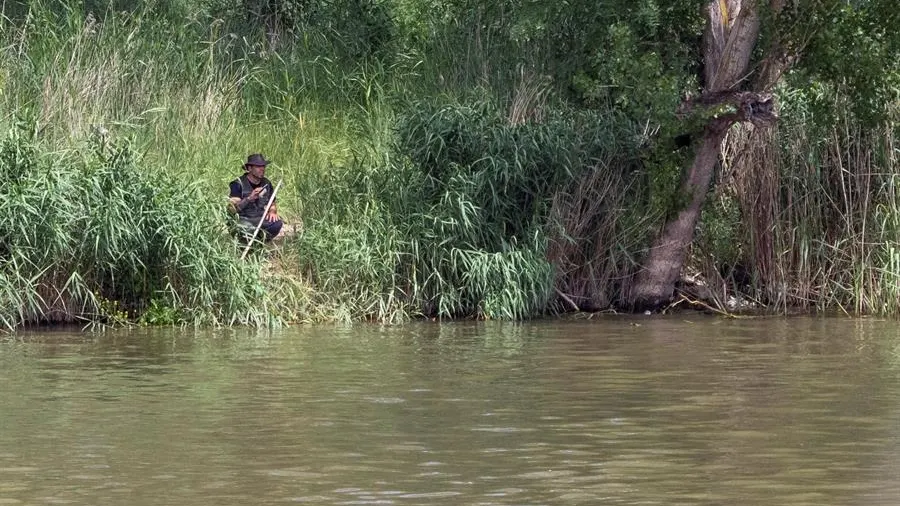 Búsqueda de un cocodrilo en Simancas