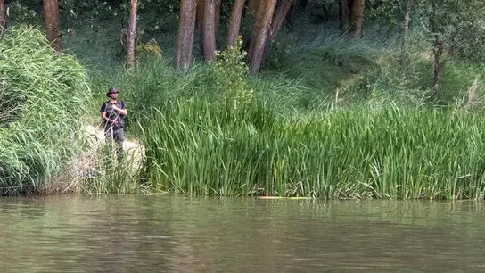 Integrantes del SEPRONA de la Guardia Civil y de la Policía Local de Simancas (buscan también un cocodrilo avistado en la zona de Pesqueruela. Integrantes del SEPRONA de la Guardia Civil y de la Policía Local de Simancas (buscan también un cocodrilo avistado en la zona de Pesqueruela.