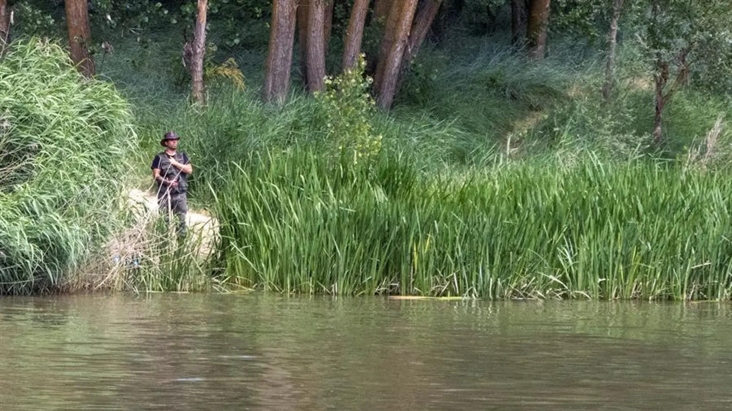 Integrantes del SEPRONA de la Guardia Civil y de la Policía Local de Simancas (buscan también un cocodrilo avistado en la zona de Pesqueruela. Integrantes del SEPRONA de la Guardia Civil y de la Policía Local de Simancas (buscan también un cocodrilo avistado en la zona de Pesqueruela.