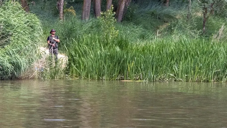 Integrantes del SEPRONA de la Guardia Civil y de la Policía Local de Simancas (buscan también un cocodrilo avistado en la zona de Pesqueruela.