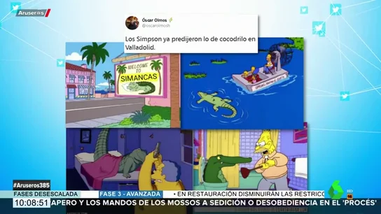 Los Simpson ya predijeron lo del cocodrilo de Valladolid Los Simpson ya predijeron lo del cocodrilo de Valladolid
