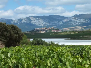 Laguardia, Rioja Alavesa Laguardia, Rioja Alavesa