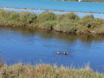 Formentera Formentera