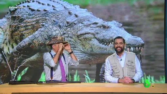El cocodrilo que atemoriza a Valladolid o los sapos que matan mascotas: la prueba de que los animales quieren "recuperar su espacio" El cocodrilo que atemoriza a Valladolid o los sapos que matan mascotas: la prueba de que los animales quieren "recuperar su espacio"