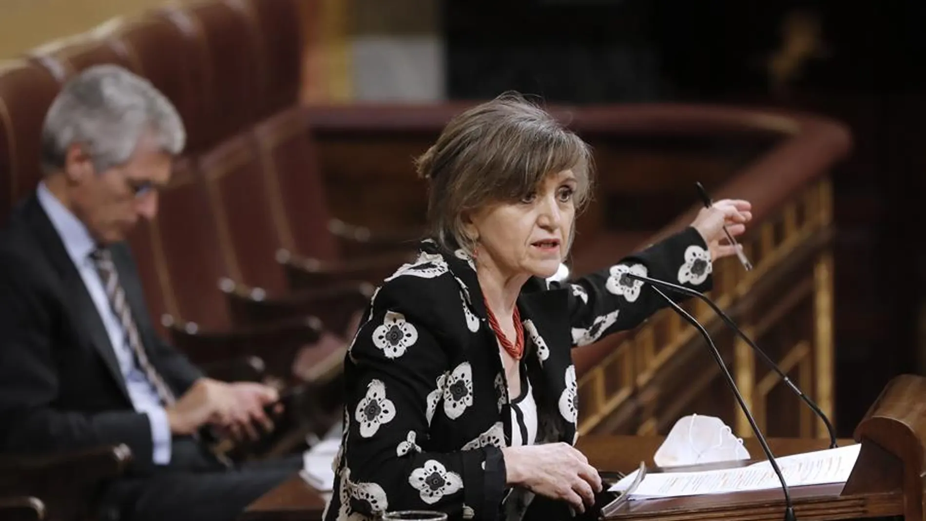María Luisa Carcedo defiende el Ingreso Mínimo Vital en el Congreso de los Diputados