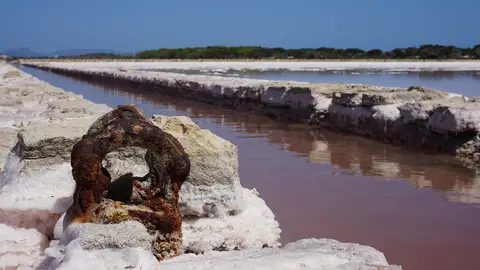 Salinas Salinas