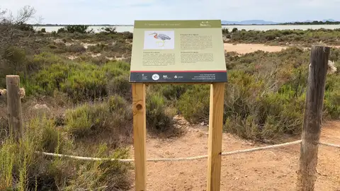 Ruta Els Brolls Ruta Els Brolls