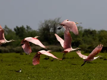 Quebrada de los Cuervos, Uruguay Quebrada de los Cuervos, Uruguay