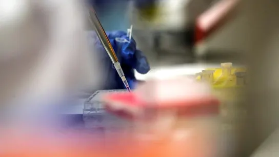 La Unión Europea diseñará un sistema para la adquisición temprana y centralizada de vacunas contra el coronavirus La Unión Europea diseñará un sistema para la adquisición temprana y centralizada de vacunas contra el coronavirus