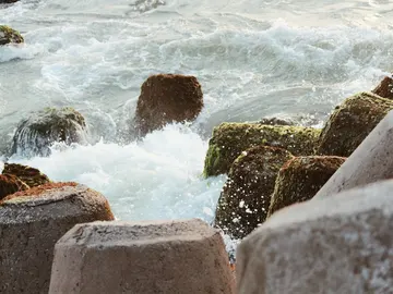 El agua del mar no tiene olor por sí sola El agua del mar no tiene olor por sí sola