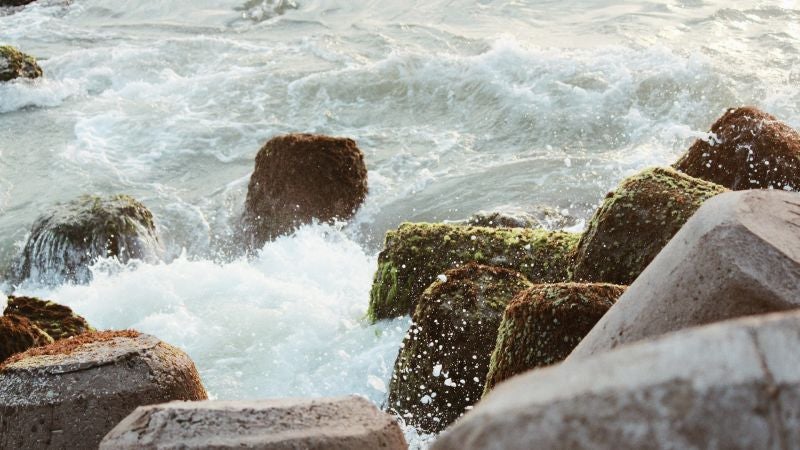 ¿A qué huele realmente el mar?
