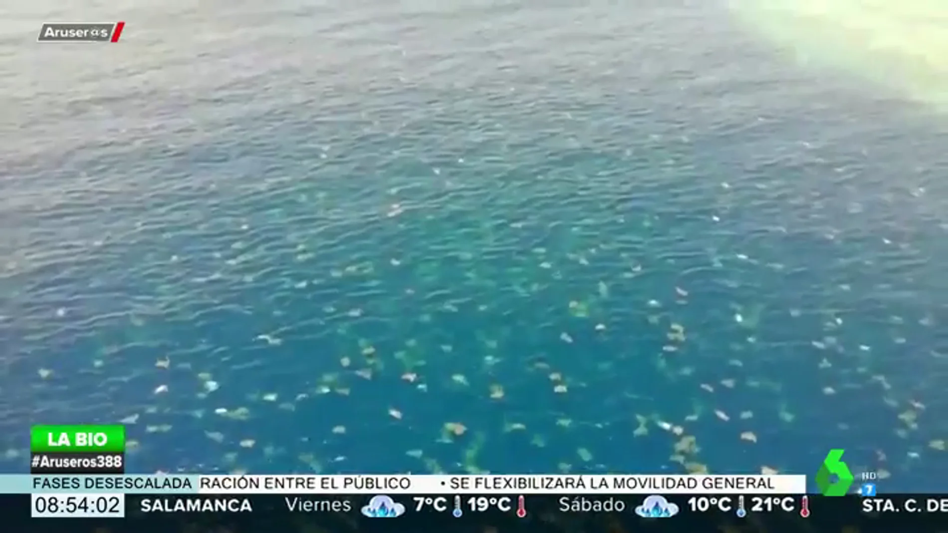 Las espectaculares imágenes a golpe de dron de miles de tortugas marinas en la Gran Barrera de Coral 