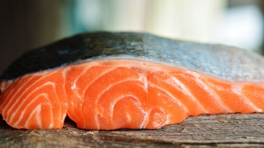 Un trozo de salm&oacute;n