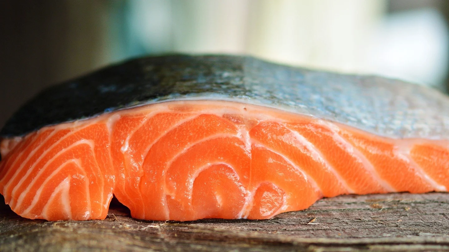 Un trozo de salmón Un trozo de salmón