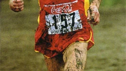 Alejandro Gómez Alejandro Gómez