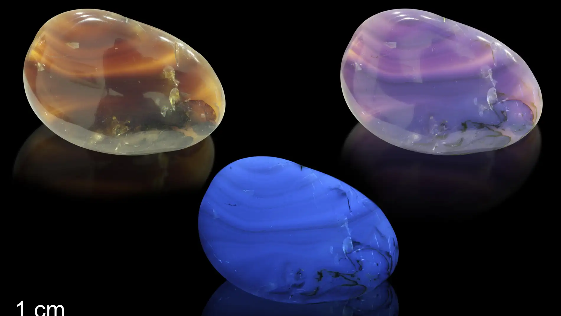 Ámbar con bandas oscuras ricas en savia