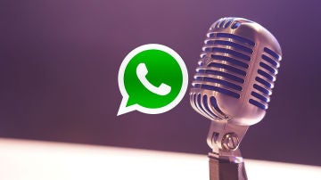 Notas de voz WhatsApp
