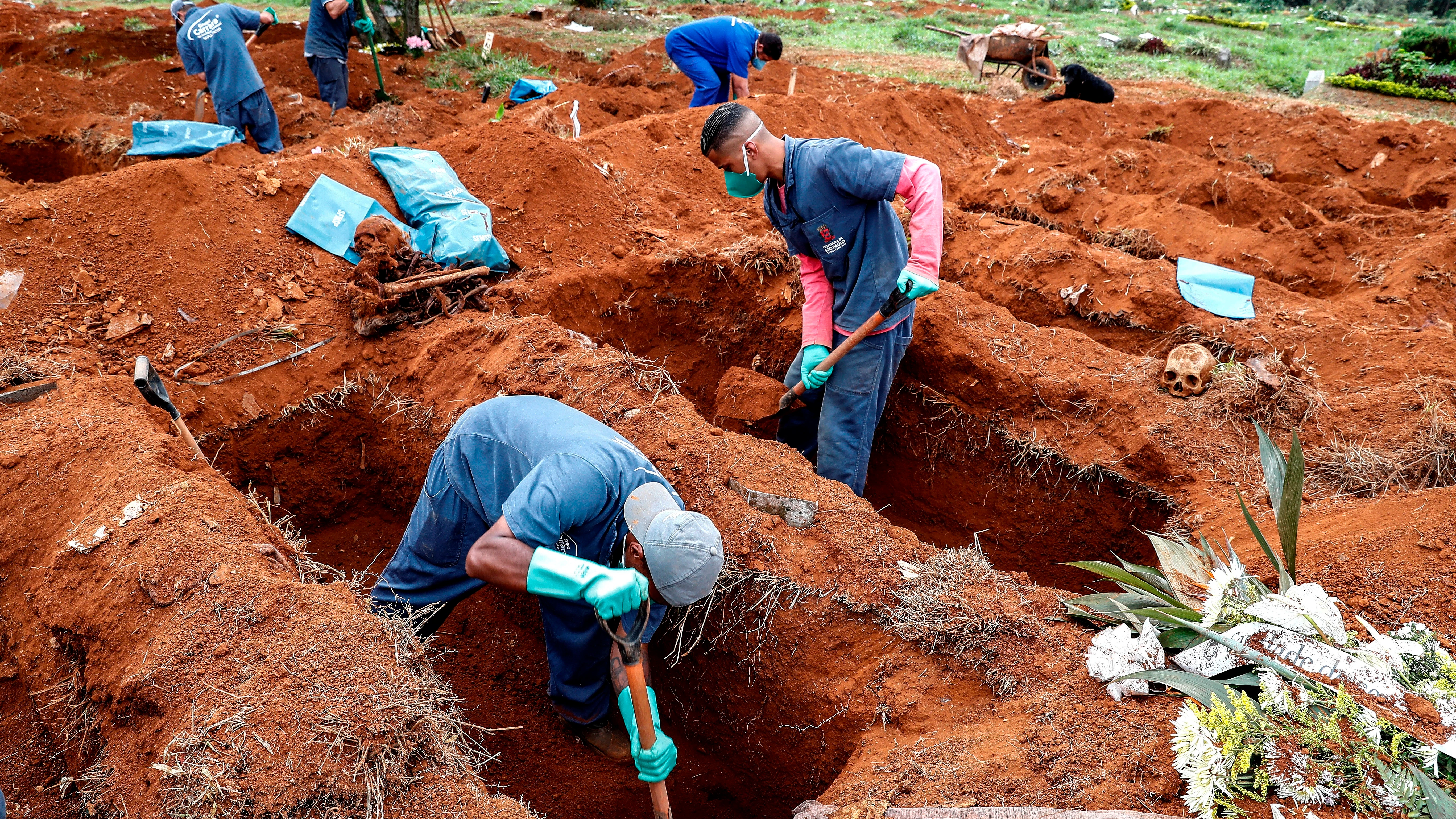 Sepultureros del cementerio de Vila Formosa, el más grande de América Latina, abren nuevas fosas este lunes para realizar más entierros dada la pandemia COVID-19, en Sao Paulo (Brasil)