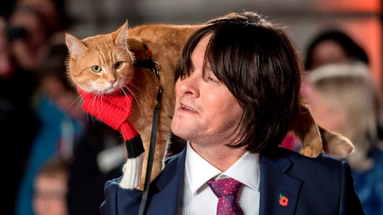 El escritor y músico británico James Bowen y su gato Bob El escritor y músico británico James Bowen y su gato Bob