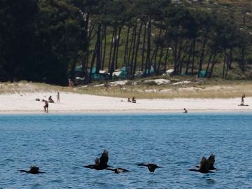 Reapertura de las Islas Cíes, Vigo Reapertura de las Islas Cíes, Vigo