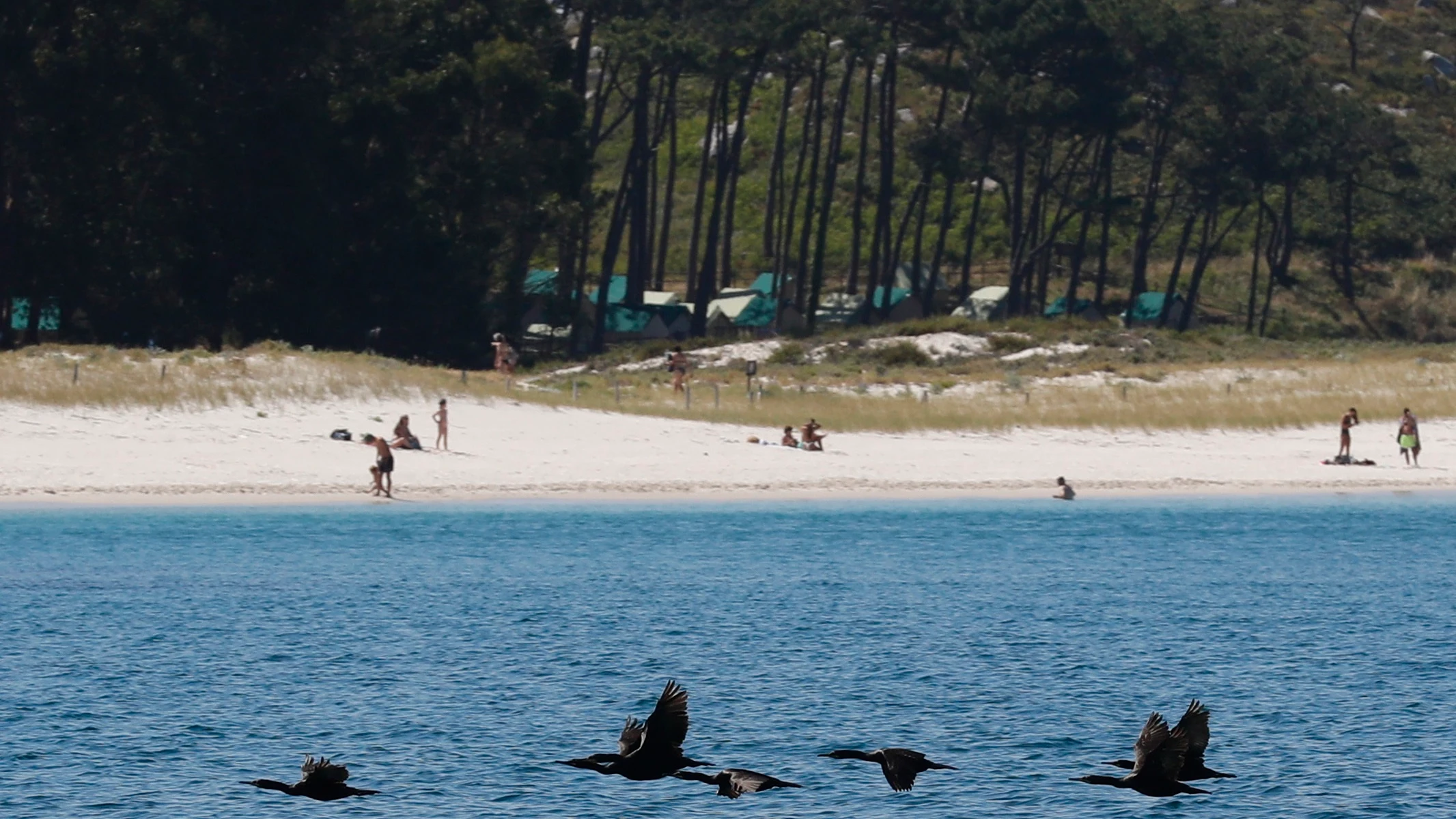 Reapertura de las Islas Cíes, Vigo