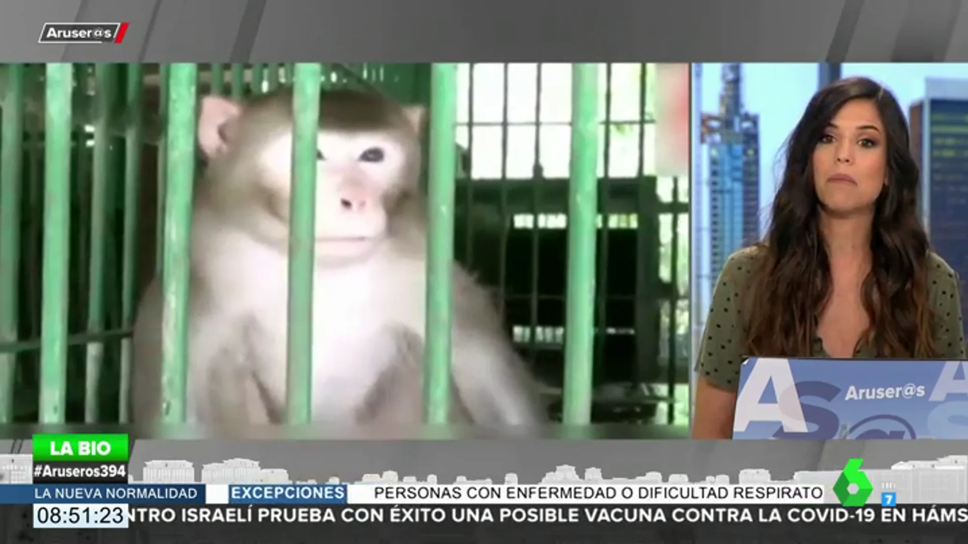 Un mono alcohólico pasará el resto de su vida en la jaula de un zoo por matar a una persona y morder a 250