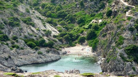 Cala jugadora