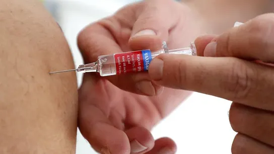 Vacuna contra la gripe Vacuna contra la gripe