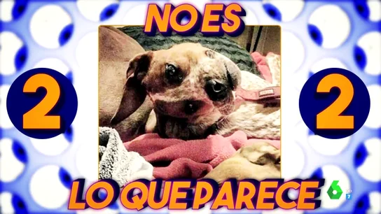 Test de agudeza visual: ¿qué hay realmente en estas fotografías? Test de agudeza visual: ¿qué hay realmente en estas fotografías?