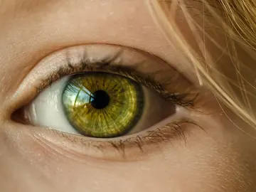ojo ojo