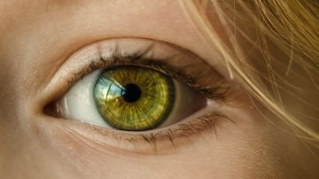 ojo