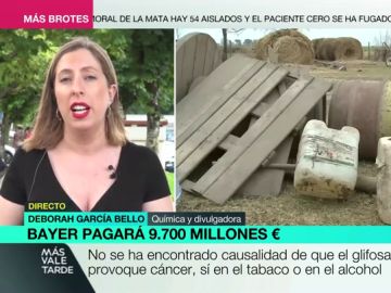 ¿Es cancerígeno el herbicida por el que Bayer pagará más de 10 millones de euros tras miles de demandas? ¿Es cancerígeno el herbicida por el que Bayer pagará más de 10 millones de euros tras miles de demandas?