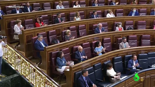 La bancada del PSOE y Unidas Podemos aplaude las palabras de Calvo La bancada del PSOE y Unidas Podemos aplaude las palabras de Calvo
