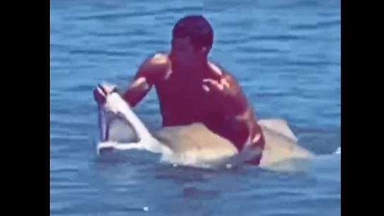 Momento en el que el bañista captura al tiburón Momento en el que el bañista captura al tiburón