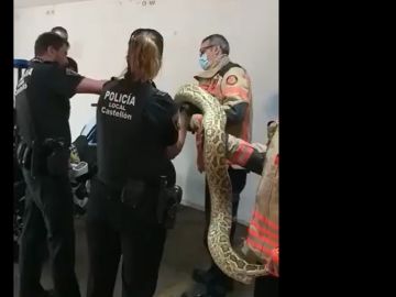 Imagen de la Policía Local de Castellón con una pitón Imagen de la Policía Local de Castellón con una pitón
