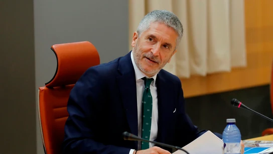 Fernando Grande-Marlaska, ministro del Interior Fernando Grande-Marlaska, ministro del Interior