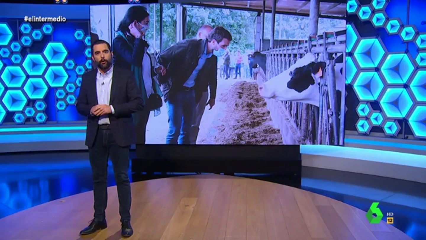 La vaca, el animal que hace "milagros" con todos los candidatos del PP en las elecciones La vaca, el animal que hace "milagros" con todos los candidatos del PP en las elecciones