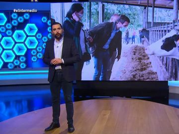 La vaca, el animal que hace "milagros" con todos los candidatos del PP en las elecciones La vaca, el animal que hace "milagros" con todos los candidatos del PP en las elecciones