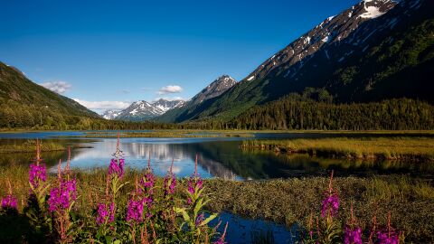 Parque Nacional, Estados Unidos