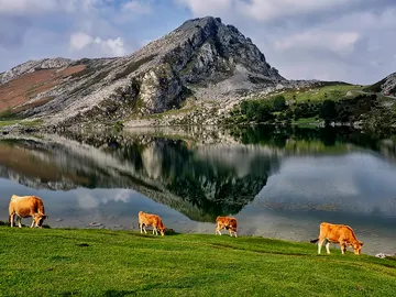 Lagos de Covadonga Lagos de Covadonga