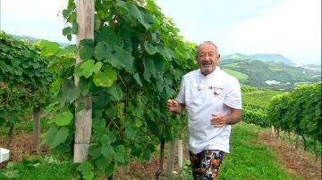 Karlos Arguiñano controla la uva del Txakoli desde su espectacular huerto