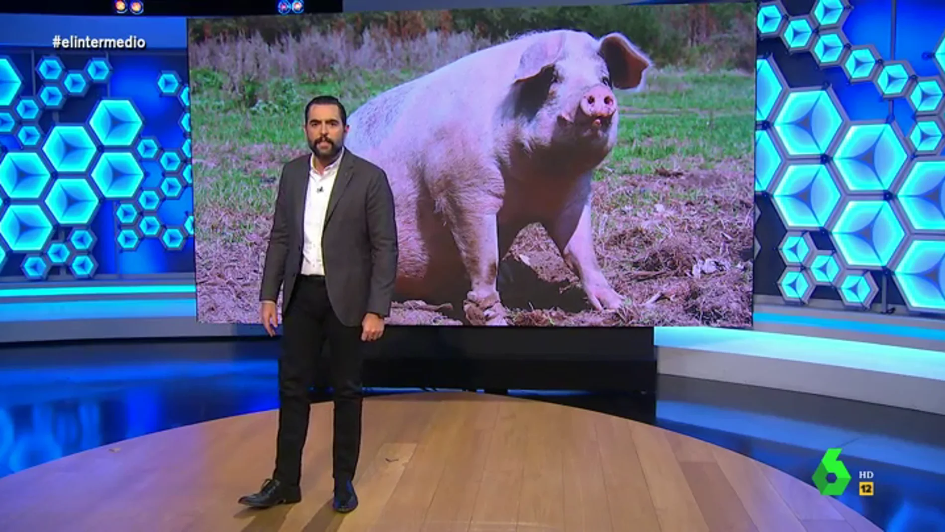 La nueva gripe porcina que podría desencadenar en otra pandemia 'asusta' a Dani Mateo: "¡No hombre, los cerdos no!"