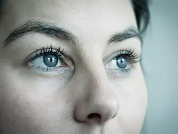 Necesitamos mover los ojos de manera coordinada para ver bien Necesitamos mover los ojos de manera coordinada para ver bien