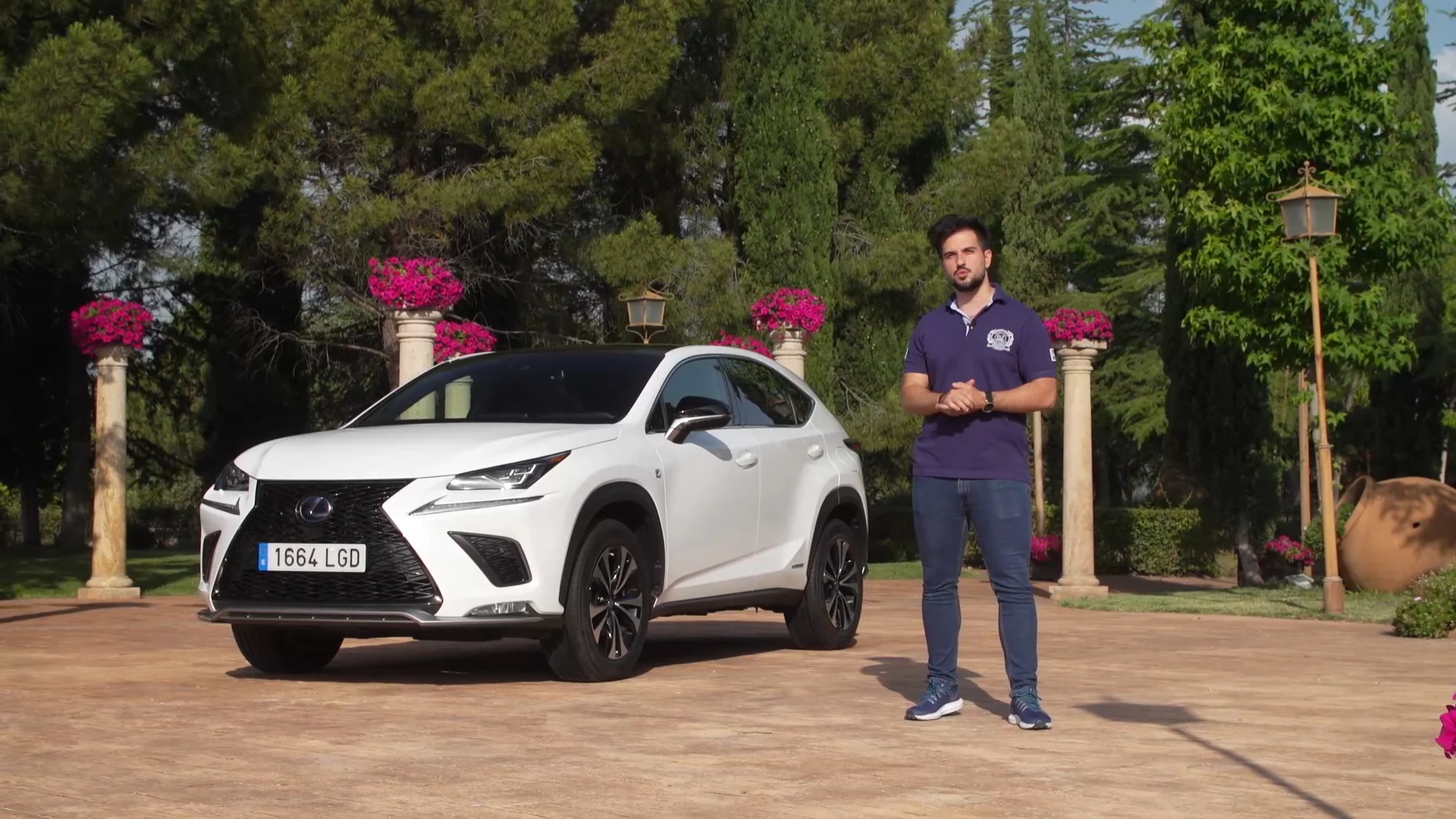 Lexus NX300h