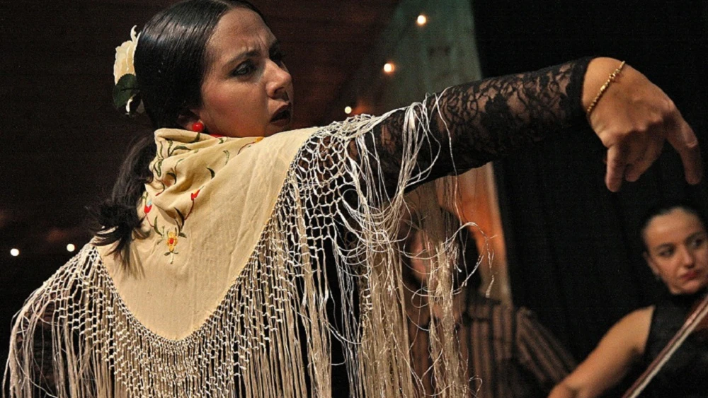 Imagen de una mujer bailando flamenco