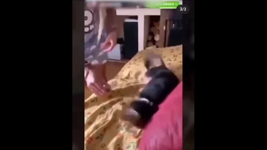 Una joven rocía los ojos de su perro con tabasco y publica el momento en redes sociales Una joven rocía los ojos de su perro con tabasco y publica el momento en redes sociales