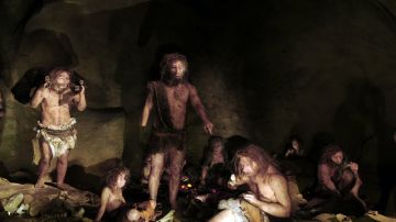 Las personas que han heredado un gen neandertal son mas sensibles al dolor