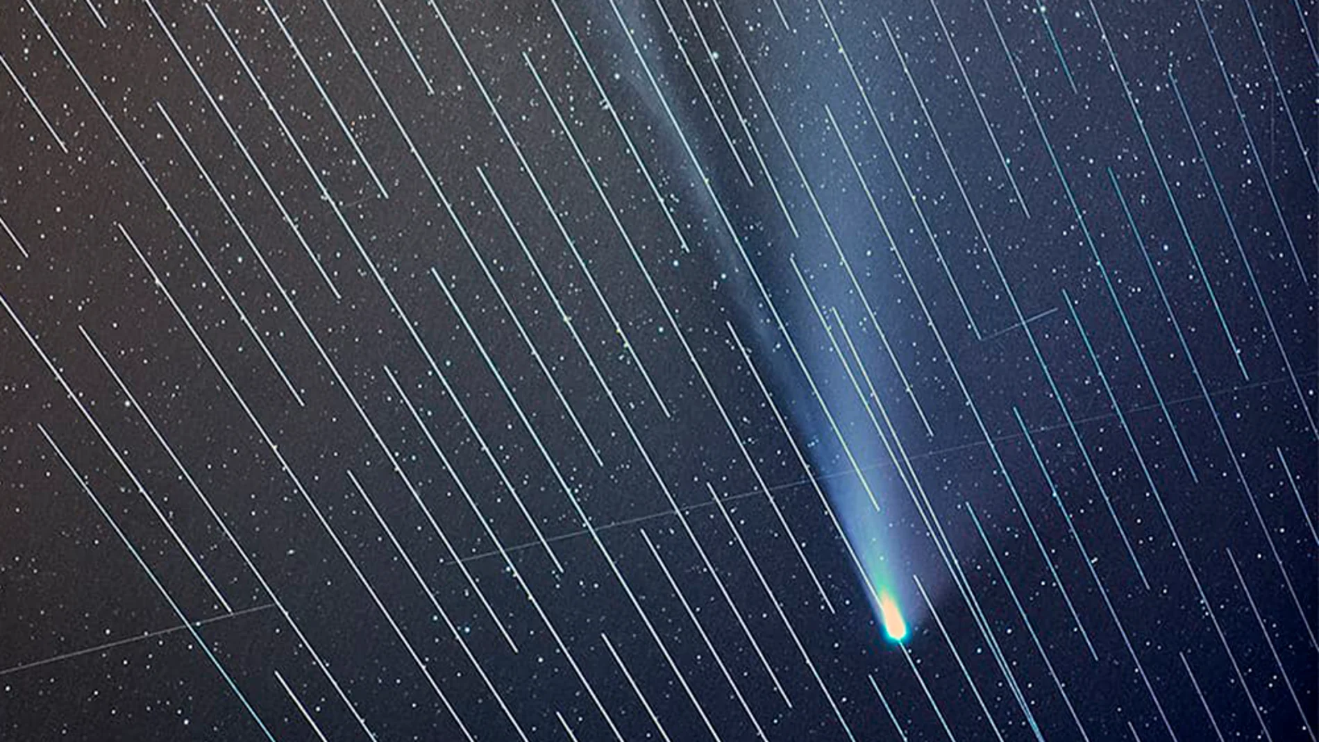Los satélites de Elon Musk arruinan la fotografía perfecta del cometa NEOWISE