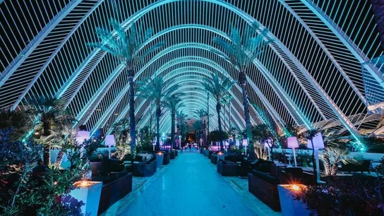 Terraza de la discoteca Umbracle Terraza de la discoteca Umbracle